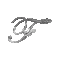 Fancore – Inicio